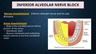 Comprehensive Guide to Mandibular and Maxillary Nerve Block Techniques ...
