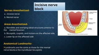 Comprehensive Guide to Mandibular and Maxillary Nerve Block Techniques ...