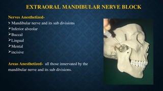 Comprehensive Guide to Mandibular and Maxillary Nerve Block Techniques ...