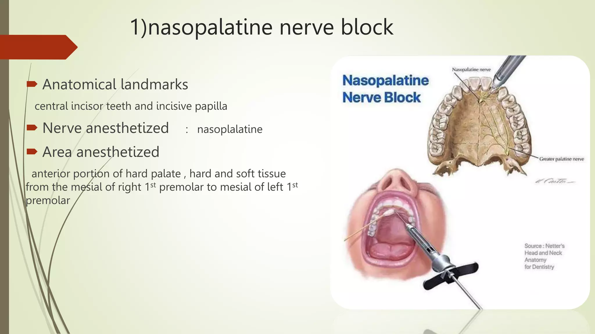 NERVE BLOCKS AND ANATOMICAL LANDMARKS IN PEDIATRIC DENTISTRY.pptx