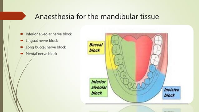 NERVE BLOCKS AND ANATOMICAL LANDMARKS IN PEDIATRIC DENTISTRY.pptx