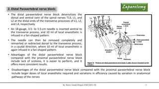 Transverse Blocking Nerve blocks and dehorning- By: Dr. Najmu Saaqib Reegoo DVM | PDF
