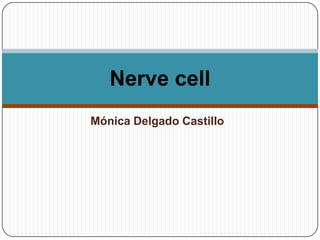 Mónica Delgado Castillo
Nerve cell
 