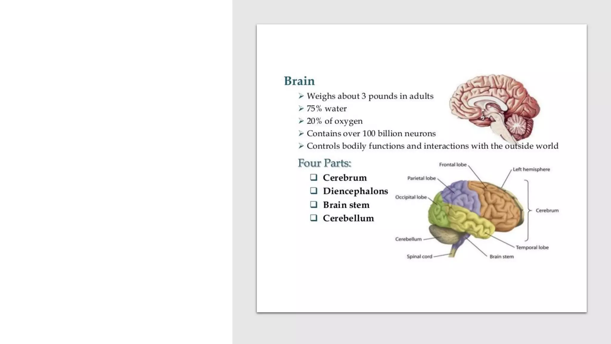 Nerve cell electrical functioning.drjma
