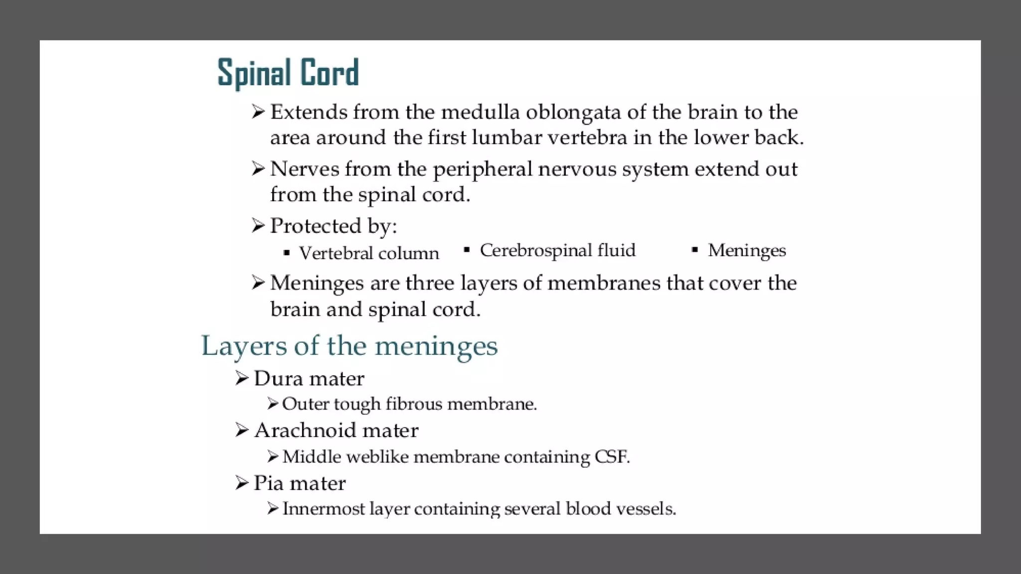 Nerve cell electrical functioning.drjma