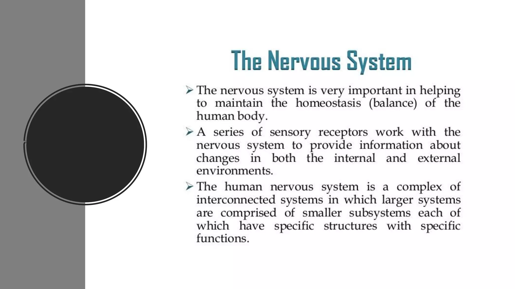 Nerve cell electrical functioning.drjma