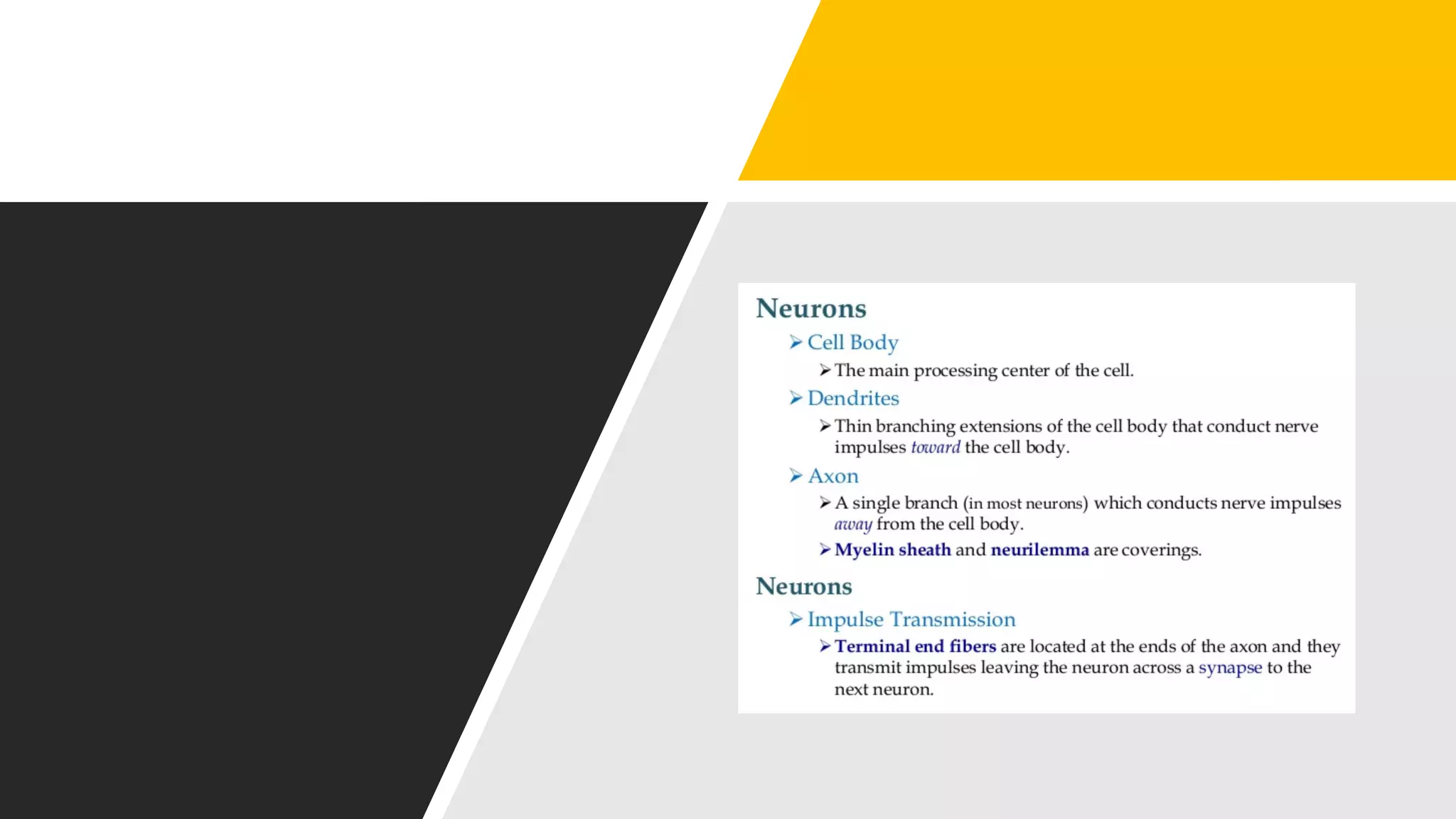 Nerve cell electrical functioning.drjma