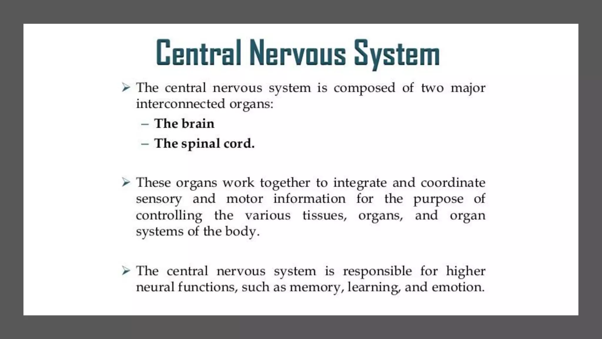 Nerve cell electrical functioning.drjma