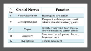 Nerve cell electrical functioning.drjma