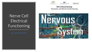 Nerve Cell
Electrical
Functioning
Dr. James Malce Alo
MS in Clinical Nursing
Psychiatric and Mental Health Nursing
 