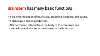 Brainstem has many basic functions
• It do with regulation of heart rate, breathing, sleeping, and eating.
• It also plays a role in conduction.
• All information relayed from the body to the cerebrum and
cerebellum and vice versa must traverse the brainstem.
 