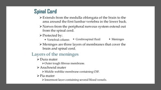 Nerve Cell Electrical Functioning.-drjma.pdf