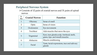 Nerve Cell Electrical Functioning.-drjma.pdf