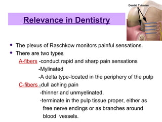 Relevance in Dentistry
 The plexus of Raschkow monitors painful sensations.
 There are two types
A-fibers -conduct rapid and sharp pain sensations
-Mylinated
-A delta type-located in the periphery of the pulp
C-fibers -dull aching pain
-thinner and unmyelinated.
-terminate in the pulp tissue proper, either as
free nerve endings or as branches around
blood vessels.
 