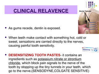 CLINICAL RELAVENCE
 As gums recede, dentin is exposed.
 When teeth make contact with something hot, cold or
sweet, sensations are carried directly to the nerves,
causing painful tooth sensitivity.
 DESENSITIZING TOOTH PASTES- it contains an
ingredients such as potassium nitrate or strontium
chloride, which block pain signals to the nerve of the
tooth by stopping up the tiny tunnels in your teeth, which
go to the nerve.(SENSODYNE,COLGATE SENSITIVE)
 