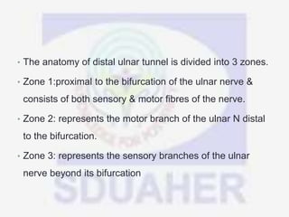 • The anatomy of distal ulnar tunnel is divided into 3 zones.
• Zone 1:proximal to the bifurcation of the ulnar nerve &
consists of both sensory & motor fibres of the nerve.
• Zone 2: represents the motor branch of the ulnar N distal
to the bifurcation.
• Zone 3: represents the sensory branches of the ulnar
nerve beyond its bifurcation
 