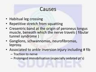Causes
• Habitual leg crossing
• Repetitive stretch from squatting
• Cresentric band at the origin of peroneus longus
muscle, beneath which the nerve travels ( fibular
tunnel syndrome )
• Ganglions, schwannomas, neurofibromas,
leprosy.
• Associated to ankle inversion injury including # fib
– Traction to nerve
– Prolonged immobilisation (especially sedated pt’s)
 