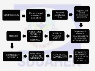 COMPRESSION
Compromised
intraneural
circulation
Reduced
axoplasmic
flow
Hypoxia and
altered
microvascular
permiability
Subperineural
edema &
EXACERBATION
OF ORIGINAL
COMPRESSION
CONT OF
VICIOUS
CYCLE
PERSISTENT
EDEMA +
ANOXIA/
HYPOXIA
FIBROSIS
IMPAIRMENT
OF SUPPLY
DEFICIENCY
OF VITAL
NUTRIENTS
FUNCTIONAL
IMPAIRMENT
PERMANENT
IMPAIRMENT
OF FUNCTION
IF LEFT
UNTREATED
 