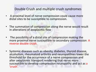 Double Crush and multiple crush syndromes
• A proximal level of nerve compression could cause more
distal sites to be susceptible to compression.
• The summation of compression along the nerve would result
in alterations of axoplasmic flow
• The possibility of a distal site of compression making the
more proximal nerve susceptible to secondary compression: A
reverse double crush.
• Systemic diseases such as obesity, diabetes, thyroid disease,
alcoholism, rheumatoid arthritis and neuropatthies lower the
threshold for the occurrence of a nerve compression and
alter axoplasmic transport rendering that nerve more
susceptible to develop compression neuropathy and act as a
‘crush’.
 