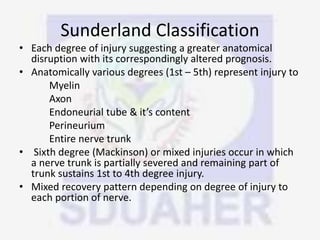 Sunderland Classification
• Each degree of injury suggesting a greater anatomical
disruption with its correspondingly altered prognosis.
• Anatomically various degrees (1st – 5th) represent injury to
Myelin
Axon
Endoneurial tube & it’s content
Perineurium
Entire nerve trunk
• Sixth degree (Mackinson) or mixed injuries occur in which
a nerve trunk is partially severed and remaining part of
trunk sustains 1st to 4th degree injury.
• Mixed recovery pattern depending on degree of injury to
each portion of nerve.
 