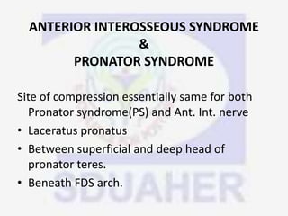 ANTERIOR INTEROSSEOUS SYNDROME
&
PRONATOR SYNDROME
Site of compression essentially same for both
Pronator syndrome(PS) and Ant. Int. nerve
• Laceratus pronatus
• Between superficial and deep head of
pronator teres.
• Beneath FDS arch.
 