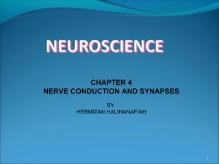1
CHAPTER 4
NERVE CONDUCTION AND SYNAPSES
BY
HERMIZAN HALIHANAFIAH
 