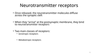 Comprehensive Overview of Nerve Conduction, Neurotransmitters, and ...