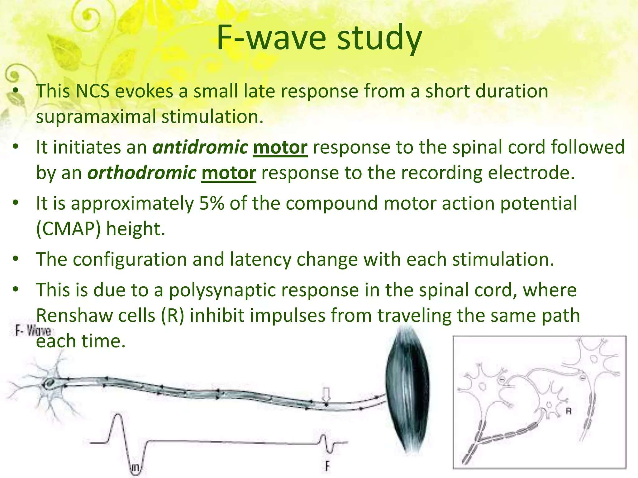 F-wave study
• This NCS evokes a small late response from a short duration
  supramaximal stimulation.
• It initiates an antidromic motor response to the spinal cord followed
  by an orthodromic motor response to the recording electrode.
• It is approximately 5% of the compound motor action potential
  (CMAP) height.
• The configuration and latency change with each stimulation.
• This is due to a polysynaptic response in the spinal cord, where
  Renshaw cells (R) inhibit impulses from traveling the same path
  each time.
 