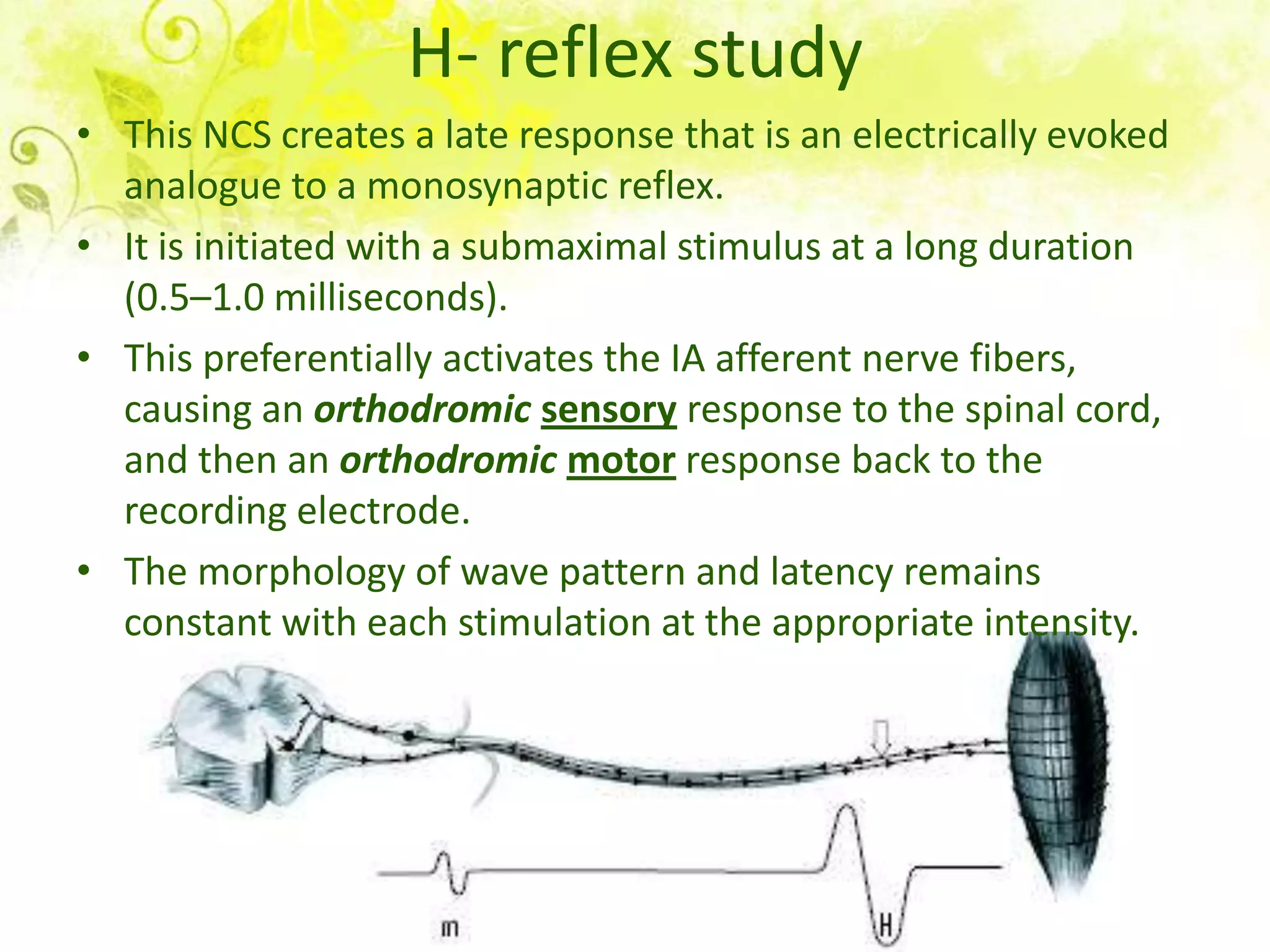 H- reflex study
• This NCS creates a late response that is an electrically evoked
  analogue to a monosynaptic reflex.
• It is initiated with a submaximal stimulus at a long duration
  (0.5–1.0 milliseconds).
• This preferentially activates the IA afferent nerve fibers,
  causing an orthodromic sensory response to the spinal cord,
  and then an orthodromic motor response back to the
  recording electrode.
• The morphology of wave pattern and latency remains
  constant with each stimulation at the appropriate intensity.
 