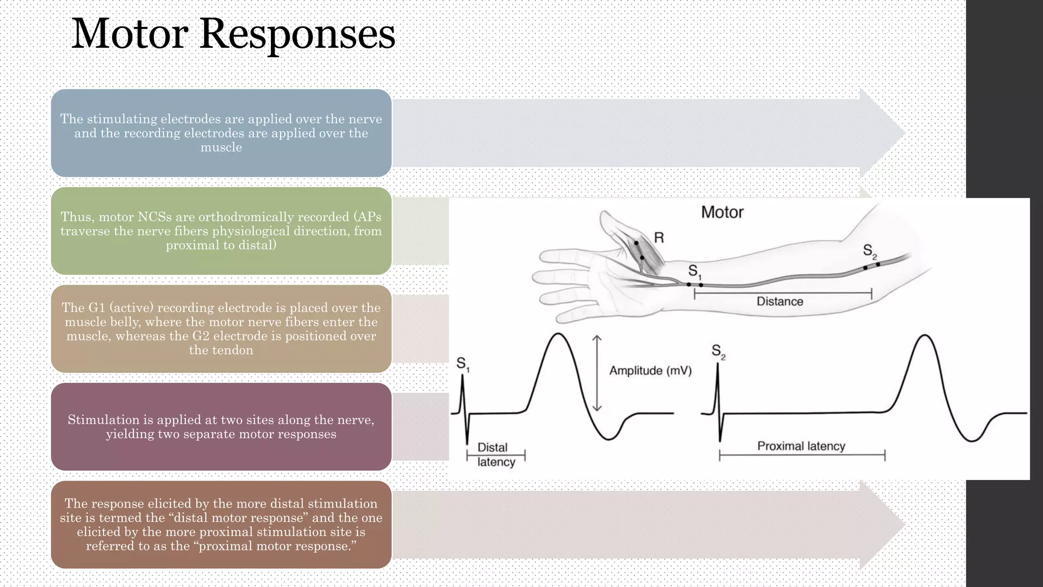 Nerve conduction study (ncs) | PPTX