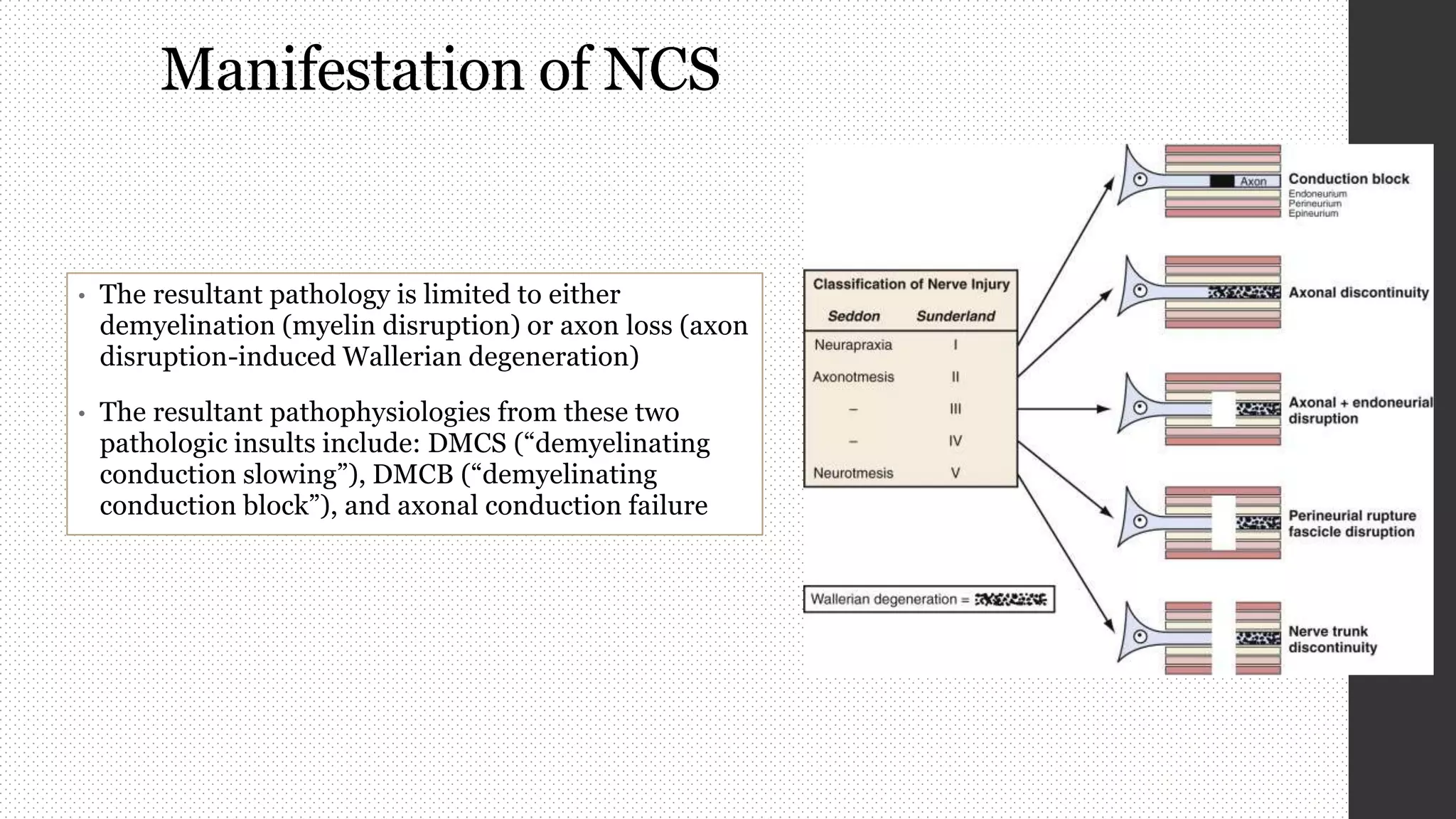 Nerve conduction study (ncs) | PPTX