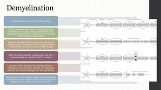 Demyelination
Demyelination reduces CV in three ways
First, it increases the amount of exposed axonal
membrane, normally, only a small area of axon
membrane is exposed, it is at the nodes of Ranvier
that the AP is regenerated
Because demyelination increases the amount of
exposed axonal membrane, more charge must be
transferred to produce a given voltage change
Thus, the time required to regenerate the AP is
increased and, as a result, the CV is slowed
Second, which decreases the transmembrane
resistance to current flow, thereby increasing the
amount of current leaking across the membrane
This lessens the value of the length constant (defined
as the distance over which an AP decays by 63% of its
original value), which also decreases the CV
 