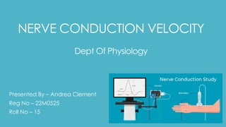 Ncv Image The ppt about NERVE CONDUCTION VELOCITY.pptx