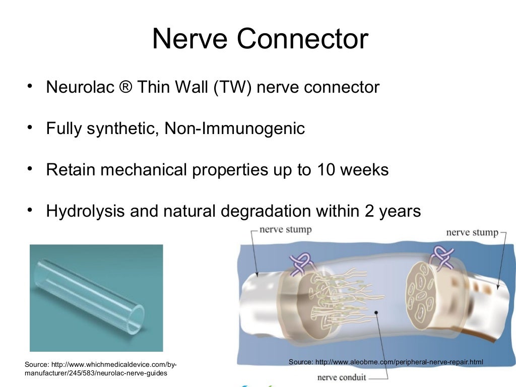 Nerve connector