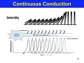 Continuous Conduction
30
 