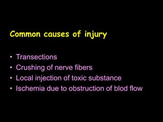 Common causes of injury
• Transections
• Crushing of nerve fibers
• Local injection of toxic substance
• Ischemia due to obstruction of blod flow
 