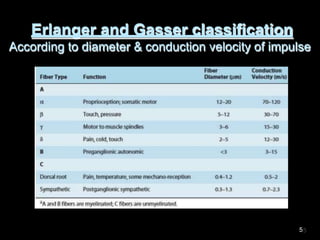 Erlanger and Gasser classification
According to diameter & conduction velocity of impulse
5
 