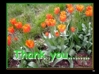 Thank you………
59
 