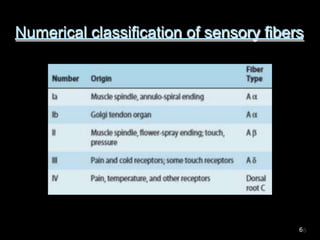 Numerical classification of sensory fibers
6
 