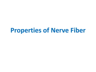 Properties of Nerve Fiber
 