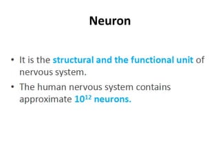 Neuron
 