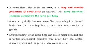 Classification and Properties of Nerve Fibre.pptx
