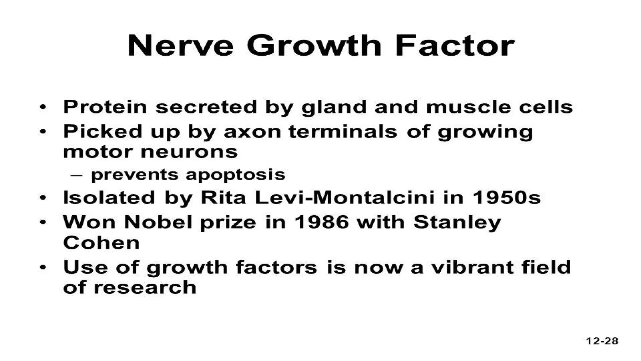 Nerve Growth Factor | PDF