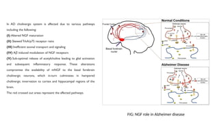NERVE GROWTH FACTOR and role of nerve growth factors in the body . | PPTX