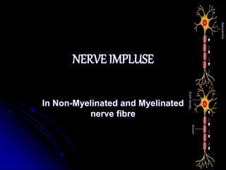 NERVE IMPLUSE
In Non-Myelinated and Myelinated
nerve fibre
 