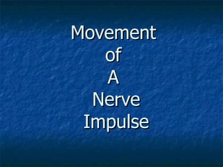 Movement
   of
   A
  Nerve
 Impulse
 