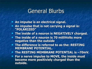 General Blurbs
   An impulse is an electrical signal.
   An impulse that is not carrying a signal is:
    “POLARIZED”
   The inside of a neuron is NEGATIVELY charged.
   The inside of a neuron is 70 milliVolts more
    negative than the outside
   The difference is referred to as the: RESTING
    MEMBRANE POTENTIAL.
   The RESTING MEMBRANE POTENTIAL is –70mV.
   For a nerve impulse to MOVE, the inside must
    become more positiviely charged than the
    outside.
 