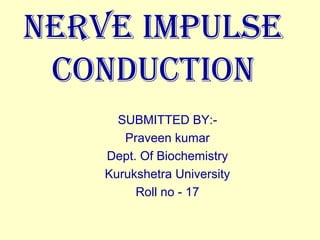 NERVE IMPULSE
CONDUCTION
SUBMITTED BY:-
Praveen kumar
Dept. Of Biochemistry
Kurukshetra University
Roll no - 17
 