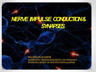 NERVE IMPULSE CONDUCTION&
SYNAPSES
MS.SHILPI DAMOR
ASSISTANT PROFESSOR,DEPTT. OF ZOOLOGY
PODDAR GROUP OF INSTITUTIONS,JAIPUR
 