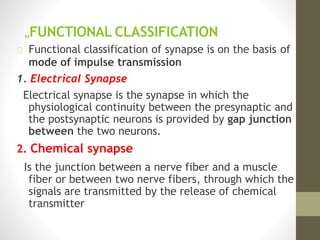 „FUNCTIONAL CLASSIFICATION
Functional classification of synapse is on the basis of
mode of impulse transmission
1. Electrical Synapse
Electrical synapse is the synapse in which the
physiological continuity between the presynaptic and
the postsynaptic neurons is provided by gap junction
between the two neurons.
2. Chemical synapse
Is the junction between a nerve fiber and a muscle
fiber or between two nerve fibers, through which the
signals are transmitted by the release of chemical
transmitter
 